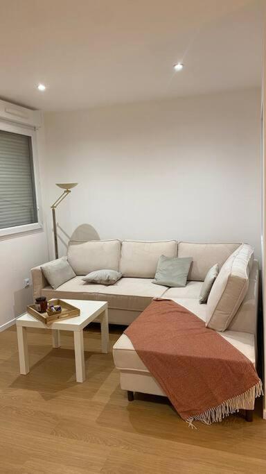 Apartment And Cosy Flat Near Geneva Or Annecy