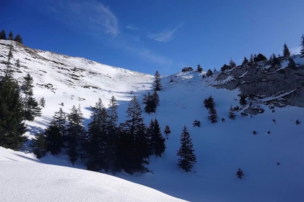 And Cosy Flat Near Geneva Or Annecy Apartment