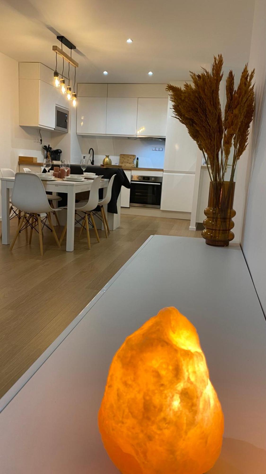Apartment And Cosy Flat Near Geneva Or Annecy